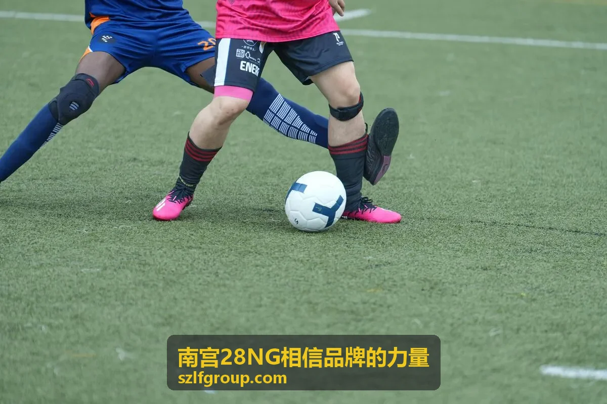 南宫28NG相信品牌的力量会员服务内容查阅场景