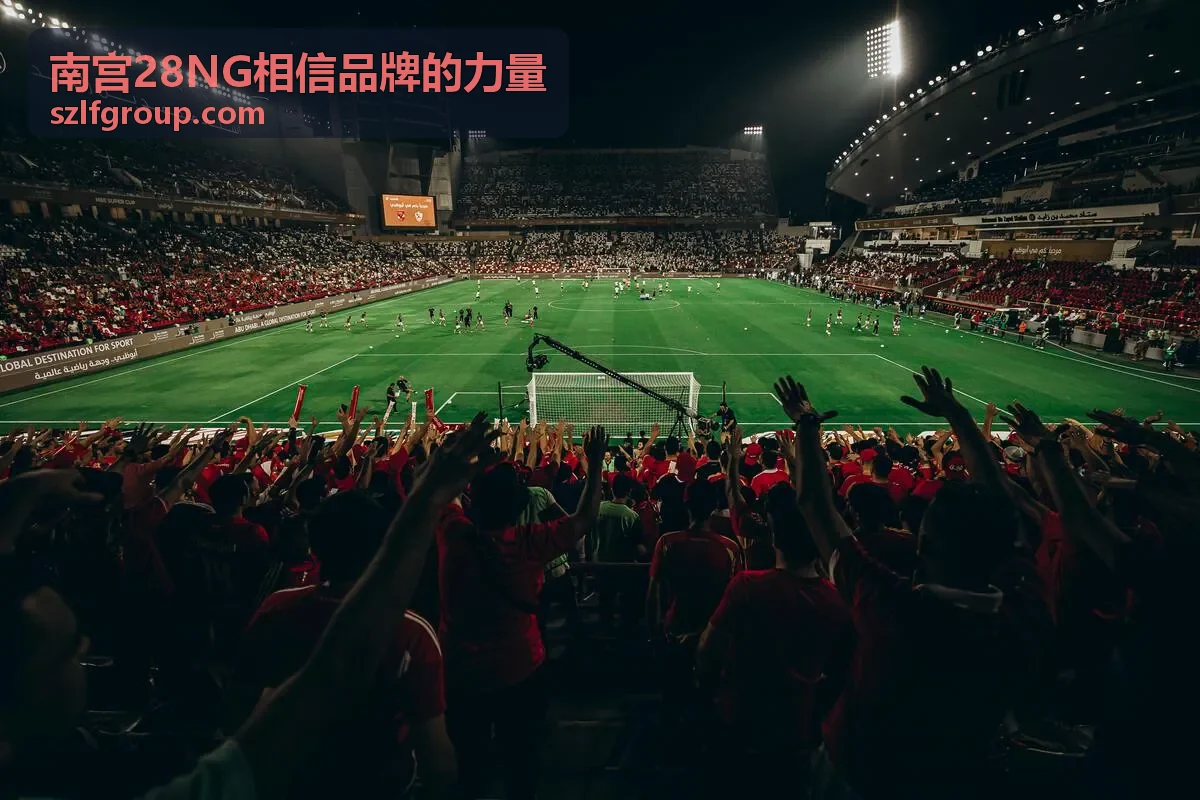 尊享专题报告封面